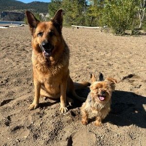 Meet your Posher, Sean